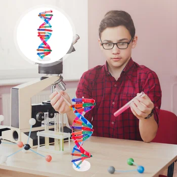 Tudományos Kísérlet Berendezések Tantermi Oktatási Segédanyagok Gyerek Játékok Gyerekeknek Közgyűlés Kidcraft Playset Tudományos Modell az Emberi DNS-t